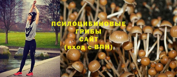 экстази Алексин