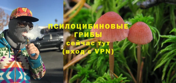 героин Алзамай