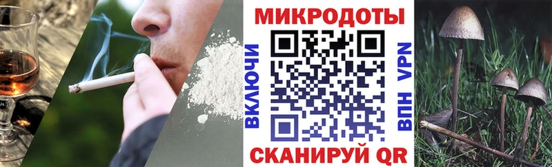 blacksprut вход Себеж Галлюциногенные грибы Psilocybine cubensis