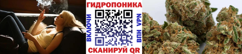 Шишки марихуана LSD WEED сайты даркнета как зайти Себеж
